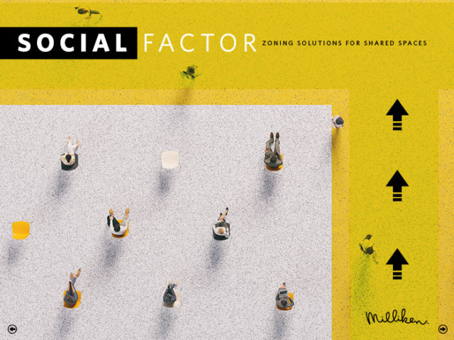 Social Factor Interactive Brochure